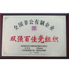 双强百佳党组织